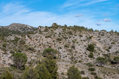 Ağaçlar ve bitkilerle kayalık tepelerin güzel bir görüntüsü.