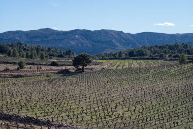 İspanya güzel manzara
