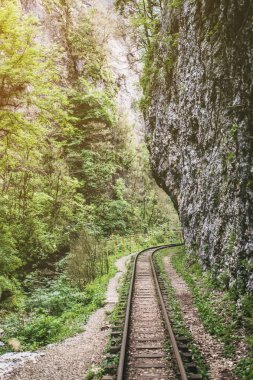 Empty railroad rails going into the distance in the forest among the rocks.