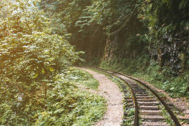Empty railroad rails going into the distance in the forest among the rocks.