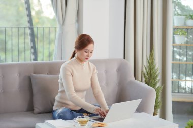 beautiful woman sit down on the sofa and use laptop computer and connection for work 