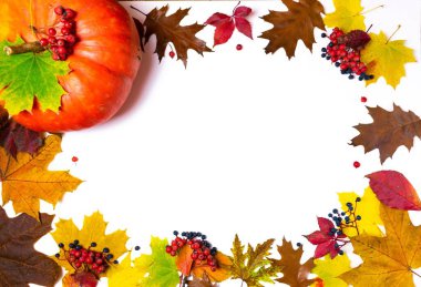 Sonbahar sarısı, kahverengi akçaağaç ve meşe yapraklarından yapılmış oval bir çerçeve, kırmızı rowan ve mavi üzüm ve güzel turuncu balkabağı ile süslenmiş. Beyaz arka plan. Uzayı kopyala Sonbahar kavramı.