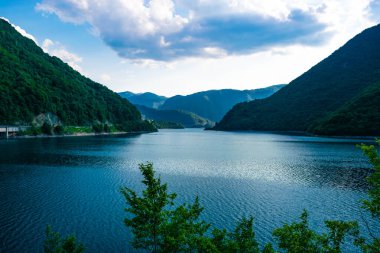 Картина, постер, плакат, фотообои "летний пейзаж озера и реки пива между высокими зелеными горами возле плузина. северная черногория. красивая природа балкан. цветы", артикул 517046326