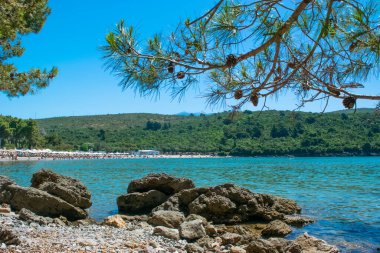 Plavi Horizonti plajı. Yaz güneşli manzarası. Radovici. Tivat Körfezi. Karadağ 'ın en güzel plajlarından biri. Çam ormanlarıyla çevrili temiz suyu olan kumsal çocuklar için harikadır..