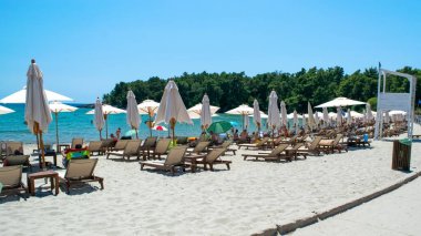 Plavi Horizonti plajı, Karadağ - 28 Haziran 2021: Çam ormanıyla çevrili temiz suyla kumlu plajda tatil yapanlar çocuklar için harika. Yaz güneşli manzarası. Radovici. Tivat Koyu.