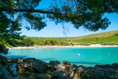 Plavi Horizonti plajı, Karadağ - 28 Haziran 2021: Çam ormanıyla çevrili temiz suyla kumlu plajda tatil yapanlar çocuklar için harika. Yaz güneşli manzarası. Radovici. Tivat Koyu.