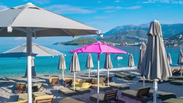 One Pink Beach Umbrella Rest Grays Umbrellas Gradually Opening Girl — Stock Video