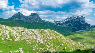 Sedlo Geçidi Karadağ 'daki en yüksek yol geçidi. Karadağ 'ın pitoresk turistik yolunun geçtiği Durmitor Ulusal Parkı. UNESCO Dünya Mirası sitesi. Güzel yaz bulutlu manzarası.