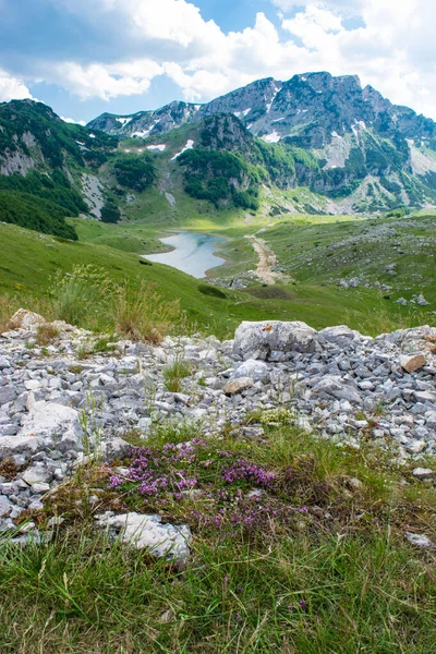 Bergkette Und Kleiner Gletschersee Vor Dem Hintergrund Grüner Hügel Und — Stockfoto