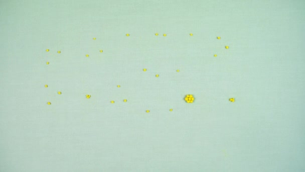 Light Green Fabric Background Small Yellow Balls Appear Turn Spring — Stockvideo