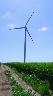 Windmill or wind turbine close up on field of green sunflowers and blue sky background. Summer sunny day. Agricultural landscape. Vertical.