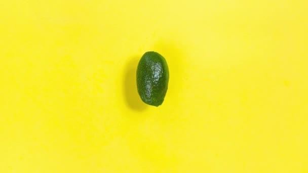 보가르 Avocado 구멍이 튕겨져 나가서 아보카도가 됩니다 아보카도는 남기면서 사라지게 — 비디오