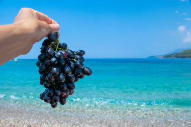 Mavi deniz ve gökyüzü arka planında bir avuç olgun siyah üzümü tutan bir kadın. Potam Plajı 'nı temizleyin. Deniz kenarı tatil konsepti. Yaz tatili ve mevsimlik meyveler kavramı. Himare. Arnavutluk.