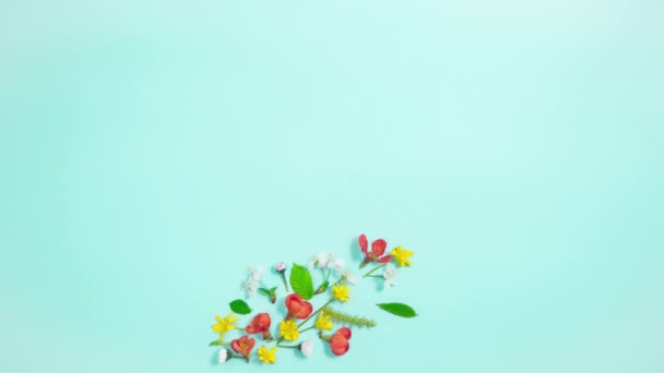 4K春概念 一种由春天的自然花朵 芽和嫩叶组成的组合出现在浅蓝色的背景上 漂亮的春天卡片 停止动作动画 平躺在床上复制空间 — 图库视频影像