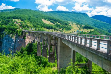Faşist karşıtı kahraman teğmen Bozhidar Zugiç 'in köprüsü olarak da bilinen Durdevica Tara Köprüsü, kuzey Karadağ' daki Tara Kanyonu Nehri üzerinde yer alan beton kemerli bir köprü..