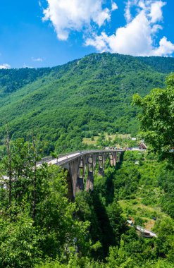 Faşist karşıtı kahraman teğmen Bozhidar Zugiç 'in köprüsü olarak da bilinen Durdevica Tara Köprüsü, kuzey Karadağ' daki Tara Kanyonu Nehri üzerinde yer alan beton kemerli bir köprü..