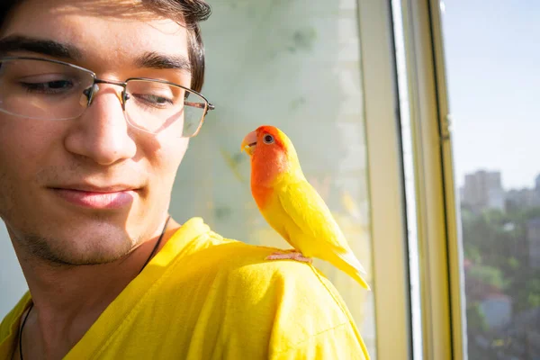 Приборканий Красивий Папуга Сидить Плечі Люблячого Молодого Хлопця Лоджії Рожеве — стокове фото