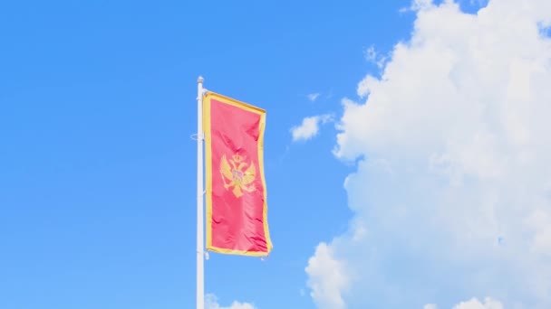 Bandiera Verticale Del Montenegro Sventola Contro Cielo Blu Con Una — Video Stock