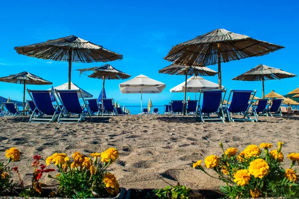 黑山贝西 2021年7月2日 夏日阳光明媚的早晨 阳光洒落在公共沙滩上 在前景中的花朵 蓝天Budva Riviera 海滨度假季节 — 图库照片