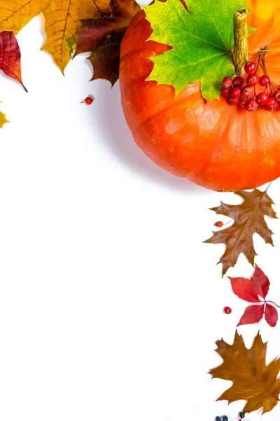 Pomerančová Dýně Zdobená Červenými Bobulemi Podzimními Žlutými Javorovými Listy Hnědými — Stock fotografie