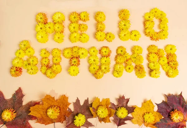 Word Hej Hösten Gjord Färska Gula Krysantemum Blommor Med Vissnade — Stockfoto