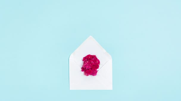 Flowers Red Small Roses Emerge Opening White Envelope Concept Love — Vídeo de Stock