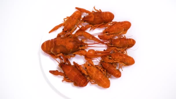 Group Boiled Red Crayfish Laid Out Plate White Background Catching — 图库视频影像