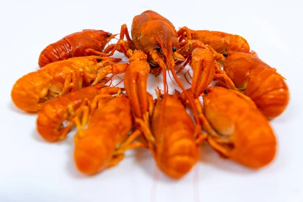 Group Boiled River Red Crayfish Laid Out Plate White Background — Stok Foto