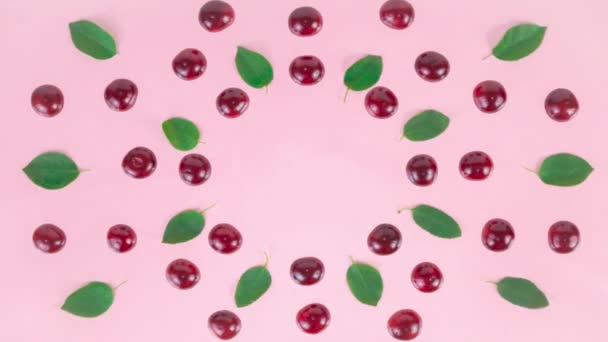 Ώριμα Κεράσια Μύρτιλλα Και Πράσινα Φύλλα Τοποθετημένα Κύκλο Ροζ Φόντο — Αρχείο Βίντεο