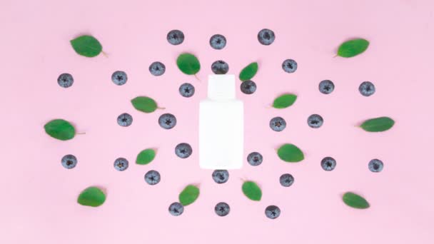 Ripe Blueberries Green Leaves Emerge White Tube Pink Background Oncept — Stockvideo