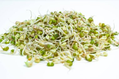 Mound of sprouted mung beans  (Vigna radiata) with small roots ofor eating. White background. Close up. Concept of diet, vegetarianism, vegan, healthy products and proper nutrition. Copy space.