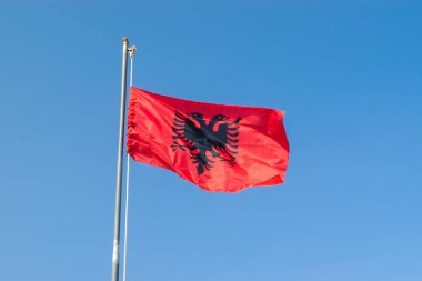 Albanian flag flies against a blue cloudless sky. Albania. Close up.