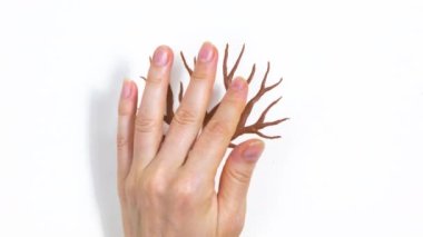 4k Hand ağacın üzerinden geçer ve çiçek açar. Yaradılış sürecini sembolize eder. Yumruk yedikten sonra, çiçekler tahribatın sembolü olan ağaçtan uçar. Döngülü dur hareketi canlandırması.