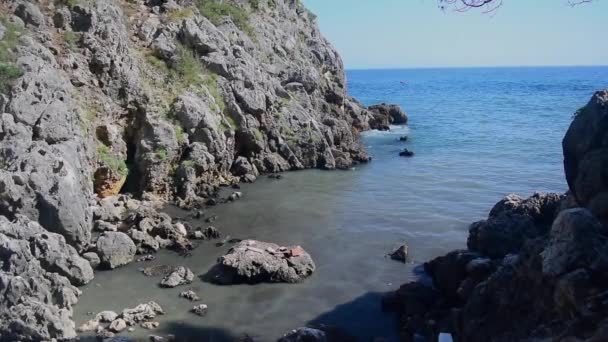 Corriente Con Aguas Residuales Heces Las Aguas Negras Altamente Contaminadas — Vídeos de Stock