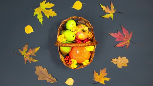4K秋果概念 秋天的叶子散落在一个篮子里 篮子里有南瓜 水果和越橘 深灰色背景 平躺在床上停止动作动画 — 图库视频影像