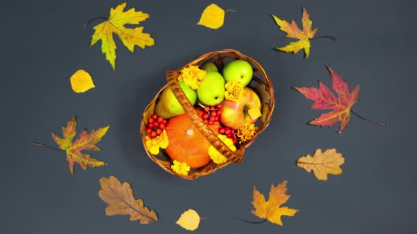 Φθινοπωρινή Έννοια Φρούτων Στο Κέντρο Περιστρέφεται Ένα Καλάθι Κολοκύθα Φρούτα — Αρχείο Βίντεο