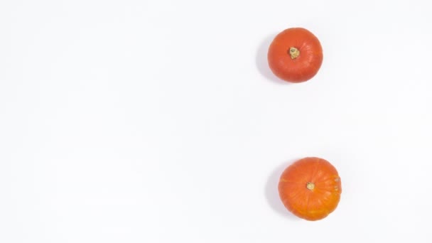 Citrouilles Feuilles Automne Baies Rowan Glands Têtes Fleurs Jaunes Souci — Video