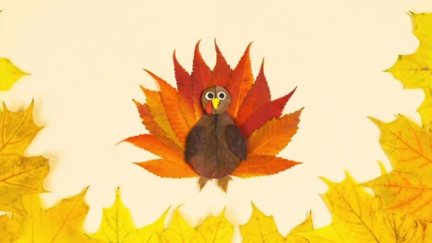 Application Autumn Turkey Made Red Autumn Leaves Thanksgiving Concept Turkey — Stock Video