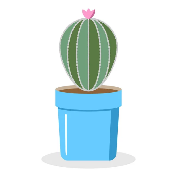 Kaktusy w garnku — Wektor stockowy