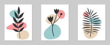 Çiçek desenli vektör resimli üç ilüstrasyonun arka planı