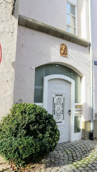 beyaz açık kapı ve yeşil boxwood çalısı