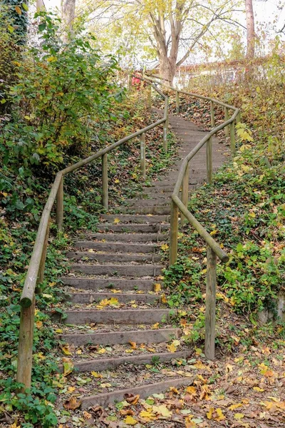 Sonbahar parkında tahta merdivenler.