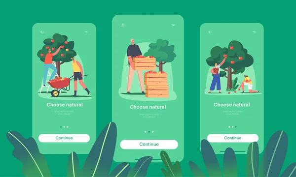 Natural Food Mobile App Page Modelo de tela a bordo. Personagens Colheita de Maçãs em Jardim ou Pomar, Agricultura — Vetor de Stock