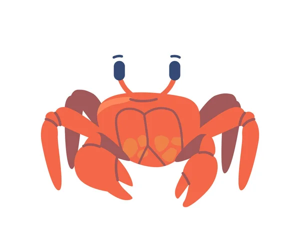Crab Underwater Sea Animal, Crustáceo Marinho com Garras Isoladas em Fundo Branco. Criatura do Oceano Selvagem, Marisco — Vetor de Stock