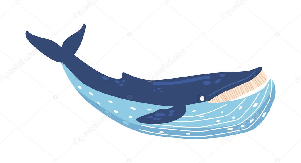 Whale, Marine Life Animal, Underwater Blue Whale, Sea Animal Icon for Sticker, Baby Shower, Book. Aquatic Creature