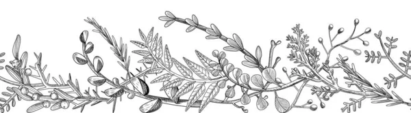 Doodle větve s listy a bobulemi, Monochromatické prvky květinového designu, Skica rostliny na bílém pozadí, gravírování — Stockový vektor