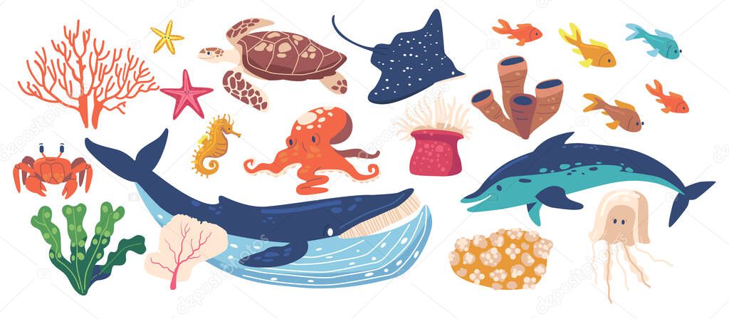 Set of Sea Animals and Plants, Isolated Seaweeds, Turtle, Whale and Slope, Jellyfish, Octopus or Dolphin with Sea Horse and Starfish Seafood and Fishery Ocean Creatures. Cartoon Vector Illustration