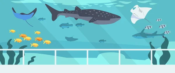 Hai, Wal und Stachelrochen mit Fischen schwimmen im Unterwasserraum des Meeres mit Algen oder Aquarienboden. Leben der Meeresfauna — Stockvektor