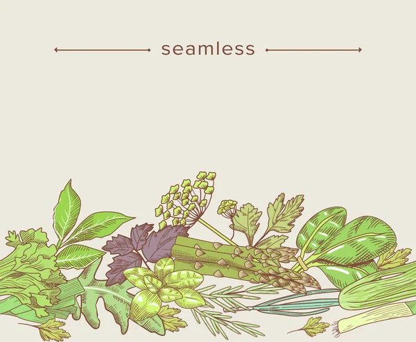 Doodle nahtlose Muster mit Gartenkräutern, Gewürzen und Grün. Handgezeichneter Rahmen aus Spinat, Spargel, Dill — Stockvektor