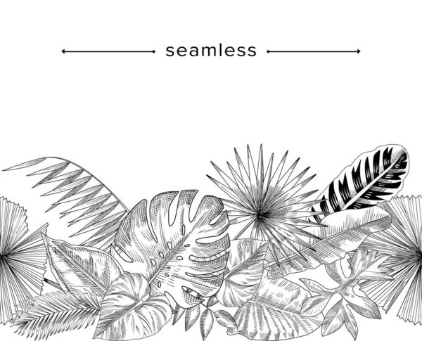 Tropical Leaves and Branches Seamless Pattern, Doodle Background (en inglés). Composición decorativa de selva tropical, frontera dibujada a mano — Vector de stock
